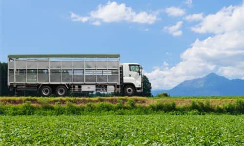 有限会社日輪運輸