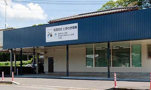 有限会社ときわぎ保険